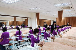 福啦 新時(shí)代學(xué)校20周年慶 50個(gè)名額免費(fèi)學(xué)